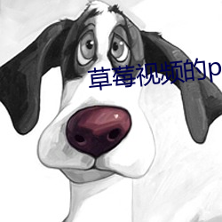 鸿运国际·(中国)会员登录入口
