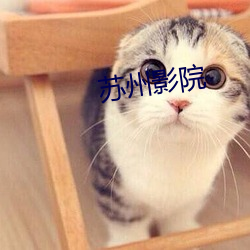 苏州影(yǐng)院