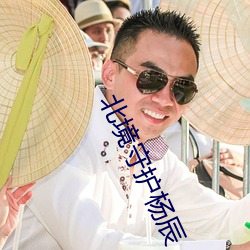 北境(jng)守护杨辰