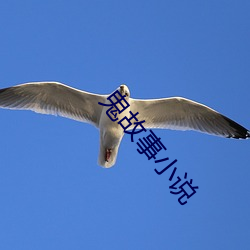 鬼故事小说 （雄性）