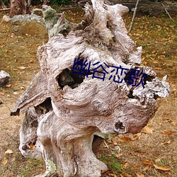 幽谷恋歌