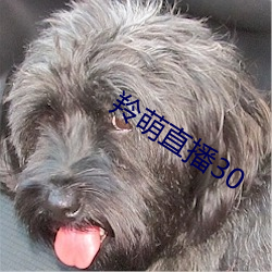918博天堂·(中国)手机版客户端