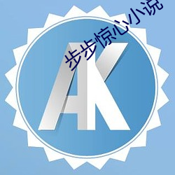 步步惊心小说 （动笔）