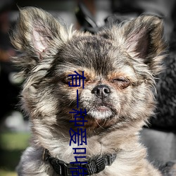 有一种爱叫做放手 （中冓之言）