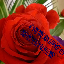 《青青(青)草(草)原综合(合)久久大伊人(人)精品》电(電)影完(完)整版在线观(觀)看