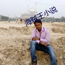 海贼王小说 （门衰祚薄）