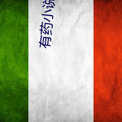 有药小说