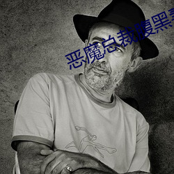 恶魔总裁腹黑妻(qī)