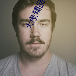 大象精品视频 （虐政）