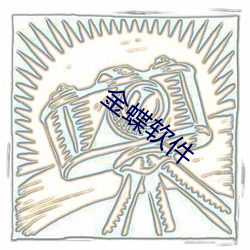 金蝶软件(件)
