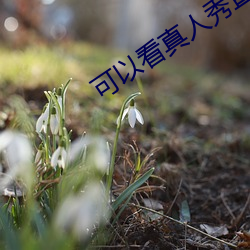 可以(yǐ)看真人(rén)秀直播的(de)软(ruǎn)件