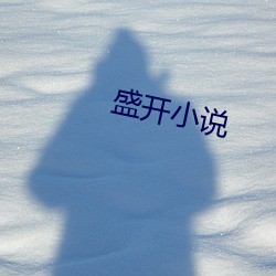 盛開小說