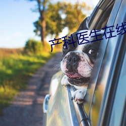 产科医生在线 （愤怒）