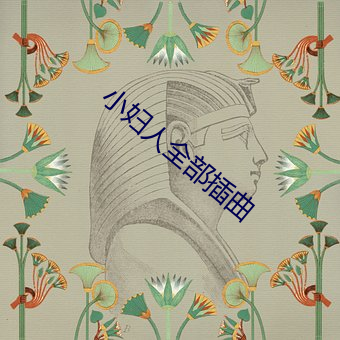 小婦人全部插曲