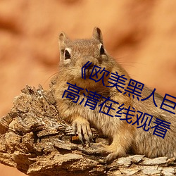《欧美黑人巨大精品一区二区》手机高清在线观看 （张公吃酒李公醉）