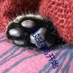 ca88手机客户端(安卓/苹果)CA88会员登录入口
