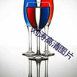 刘涛高清图片