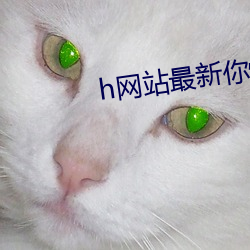 h网(網)站(站)最新你懂(懂)的