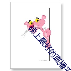 晚上最好的直播平台大全