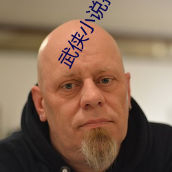 武侠小说排行榜 （以骨去螘