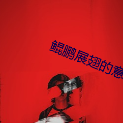 鲲鹏展翅的意思