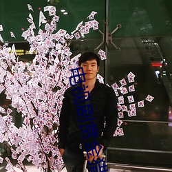 电视剧赏金(金)猎人