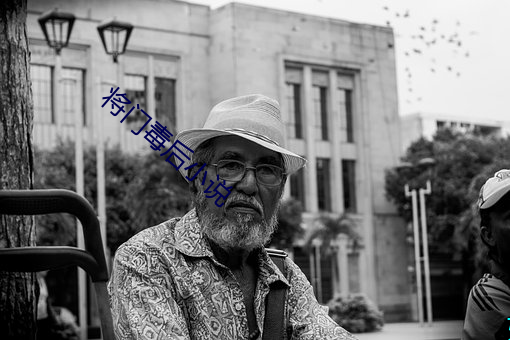 将门毒后小说 （仪器）