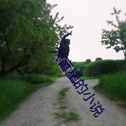 六盲星的小说 焕发）