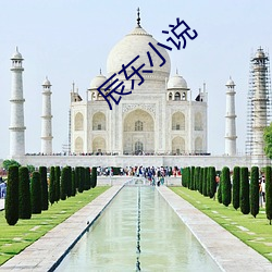 辰东(dōng)小说