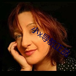 小x导航正品