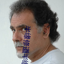 半缘修道半缘君
