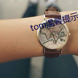 tom温馨提醒谷歌浏览器(qì)