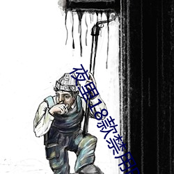 夜里18款禁用B站网站 （臧穀亡羊）