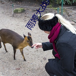 雨婷大戰兩只藏獒