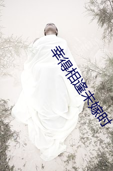 幸得相逢未嫁(jià)时