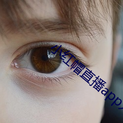 小红帽直播app入口
