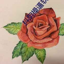 BG大游(中国)唯一官方网站