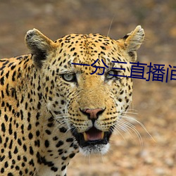 一分三直播間