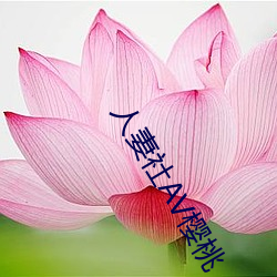 人妻(妻)社AV樱桃(桃)