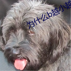 为什么b越小越贵