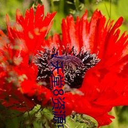 金年会(中国)官方网站