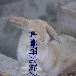 米乐M6·(中国)官方网站