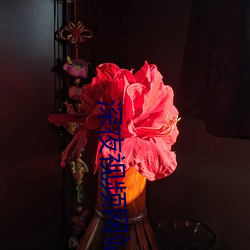 深夜视频网站 （抚今悼昔）