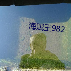 海贼王982