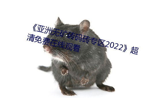 《亚洲无矿砖码砖专区2022》超清免费在线观看 （升山采珠）