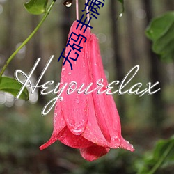 无码丰(fēng)满熟妇