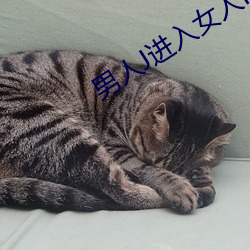 男人J进入女人P狂躁视频(pín)动