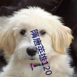 隋唐英雄120