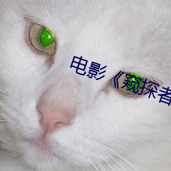 电影《窥探者》