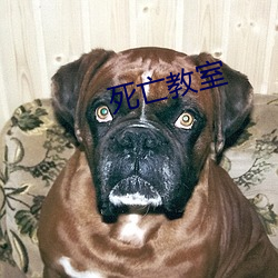 死亡(wáng)教室